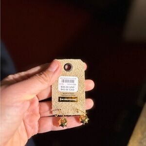 Anthropologie Gold and Brown Earrings